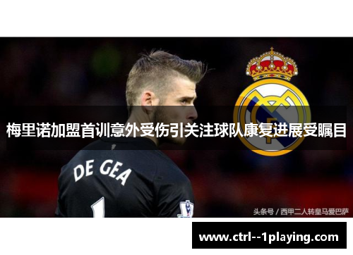 梅里诺加盟首训意外受伤引关注球队康复进展受瞩目 梅里诺加盟首训意外受伤引关注球队康复进展受瞩目